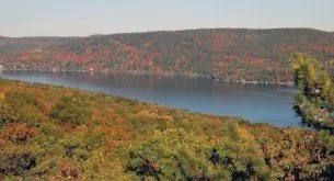 Licensed Psychologist for Mental Health Needs